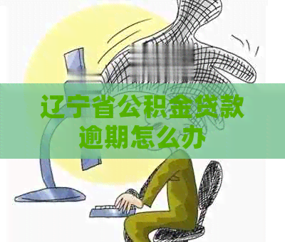辽宁省公积金贷款逾期怎么办