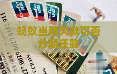 蚂蚁当期欠款可否分期还款