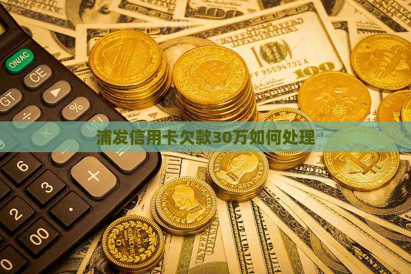 浦发信用卡欠款30万如何处理 浦发信用卡欠款30万如何处理