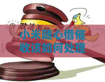 小米随心借该如何处理