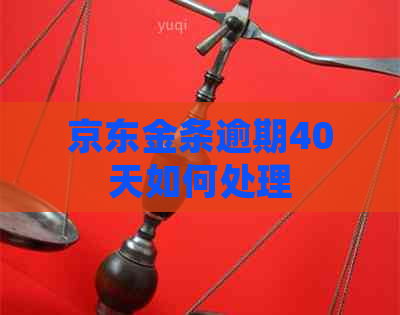 京东金条逾期40天如何处理