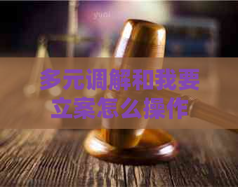 多元调解和我要立案怎么操作