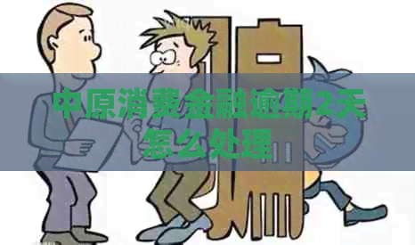 中原消费金融逾期2天怎么处理