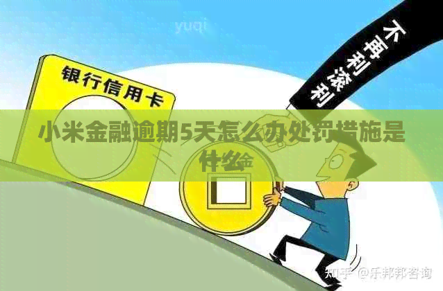 小米金融逾期5天怎么办处罚措施是什么