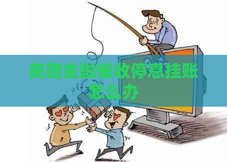 美团金融停息挂账怎么办
