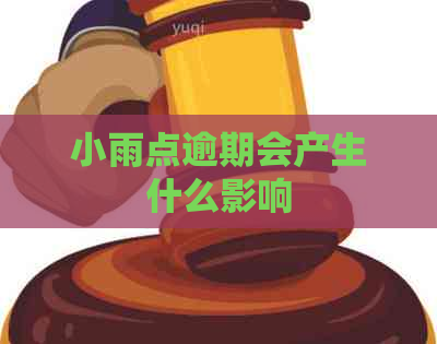 小雨点逾期会产生什么影响
