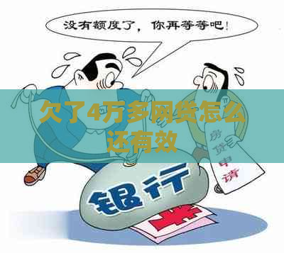 欠了4万多网贷怎么还有效