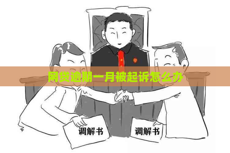 网贷逾期一月被起诉怎么办