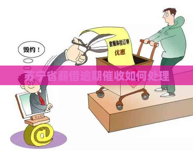 苏宁省薪借逾期如何处理