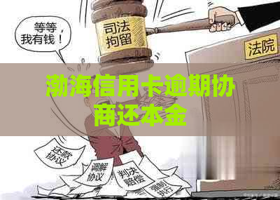 渤海信用卡逾期协商还本金