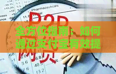 全方位指南：如何通过支付宝有效提升信用卡还款额度以及相关问题解答