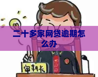 二十多家网贷逾期怎么办
