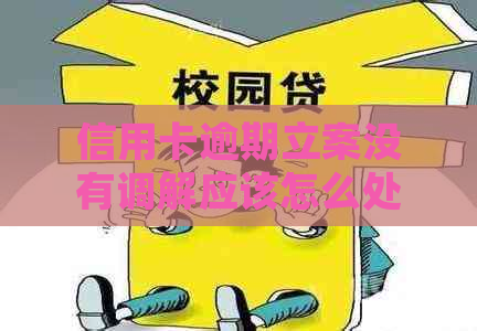信用卡逾期立案没有调解应该怎么处理