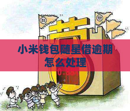 小米钱包随星借逾期怎么处理