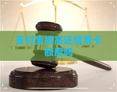 支付宝提高还信用卡额度吗