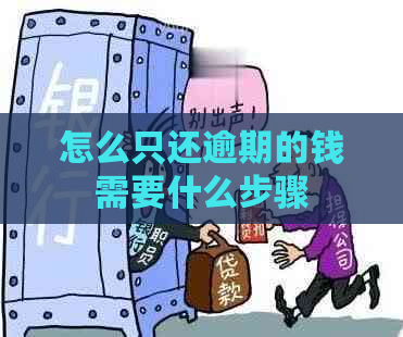 怎么只还逾期的钱需要什么步骤