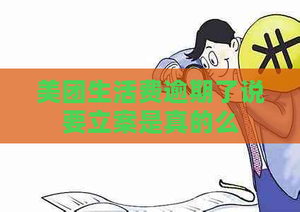 美团生活费逾期了说要立案是真的么