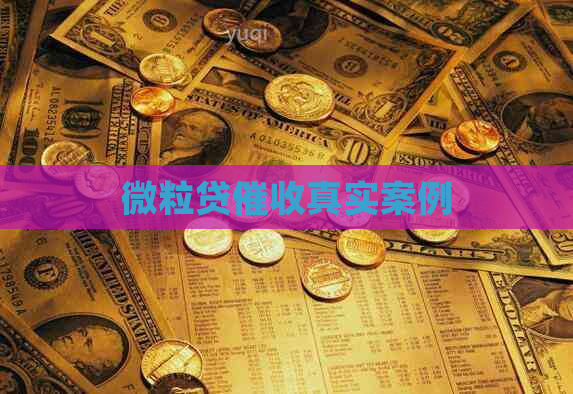 微粒贷真实案例