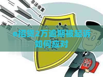 e招贷2万逾期被起诉如何应对