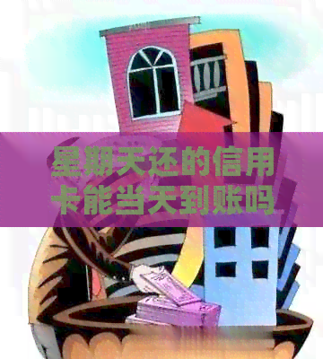 星期天还的信用卡能当天到账吗：安全及查询方式全解析