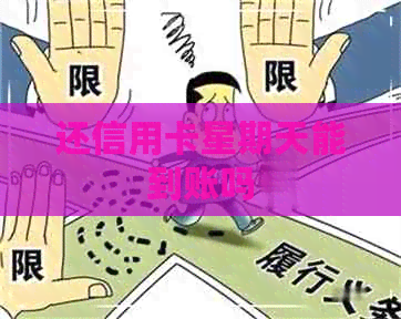 还信用卡星期天能到账吗