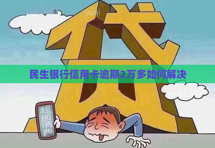 民生银行信用卡逾期2万多如何解决