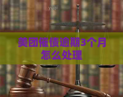 美团催债逾期3个月怎么处理
