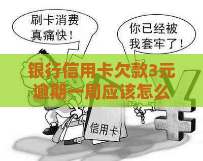 银行信用卡欠款3元逾期一周应该怎么办