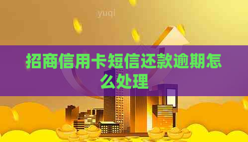 招商信用卡短信还款逾期怎么处理