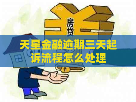 天星金融逾期三天起诉流程怎么处理