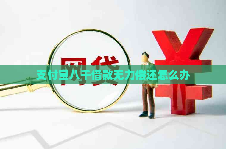 支付宝八千借款无力偿还怎么办