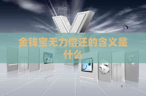 金钱宝无力偿还的含义是什么
