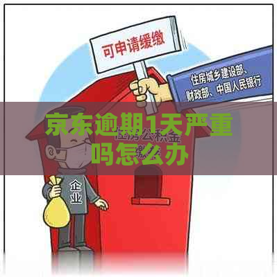 京东逾期1天严重吗怎么办