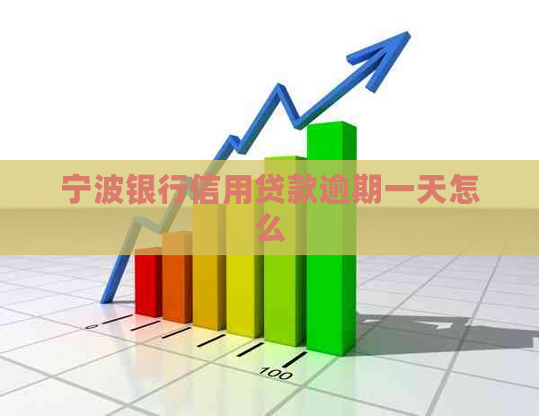 宁波银行信用贷款逾期一天怎么