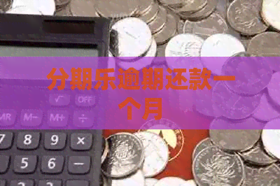 逾期还款一个月