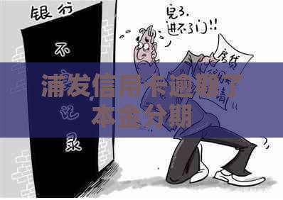 浦发信用卡逾期了本金分期