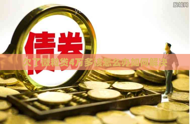 欠了微粒贷4万多该怎么办如何解决