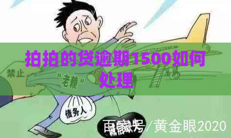拍拍的贷逾期1500如何处理