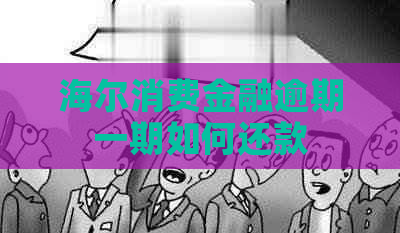 海尔消费金融逾期一期如何还款