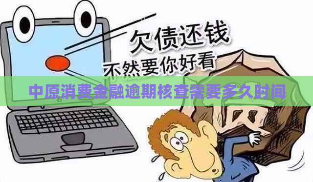 中原消费金融逾期核查需要多久时间