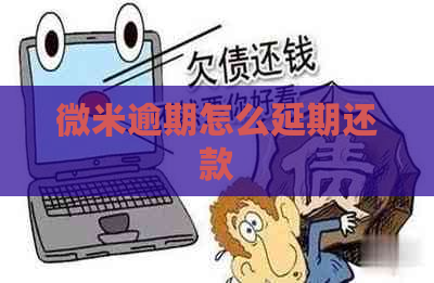 微米逾期怎么延期还款