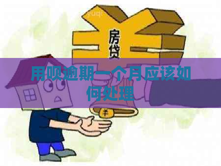 用呗逾期一个月应该如何处理