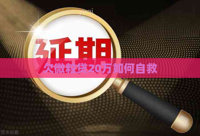 欠微粒贷20万如何自救