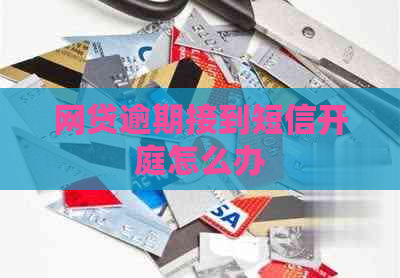 网贷逾期接到短信开庭怎么办