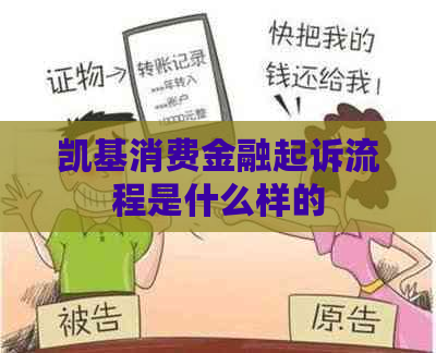 凯基消费金融起诉流程是什么样的