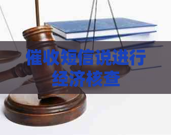 短信说进行经济核查