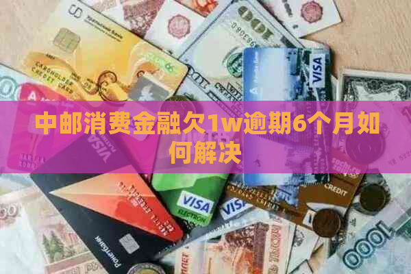 中邮消费金融欠1w逾期6个月如何解决