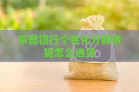 东莞银行个性化分期依据怎么选择