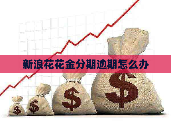 新浪花花金分期逾期怎么办