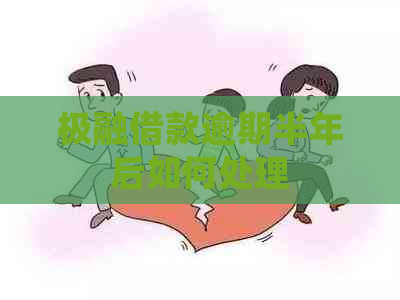 极融借款逾期半年后如何处理